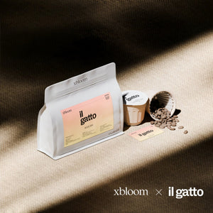 A white coffee bag with a light orange 'il gatto' label placed next to individual XBloom xpods coffee capsules and scattered coffee beans under a warm shadow, featuring the 'xbloom x il gatto' collaboration text at the bottom.